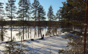 Dogsledding, Finland