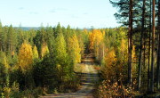 Finnish lakeland, visitfinland, travel to Finland