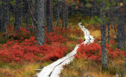 National Parks Finland, visitfinland